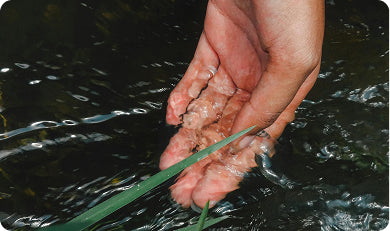 Take a (literal) deep dive into the elixer of life: water